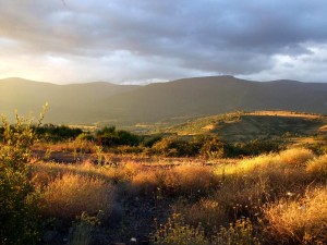 gistredo desde el monte de Labaniego